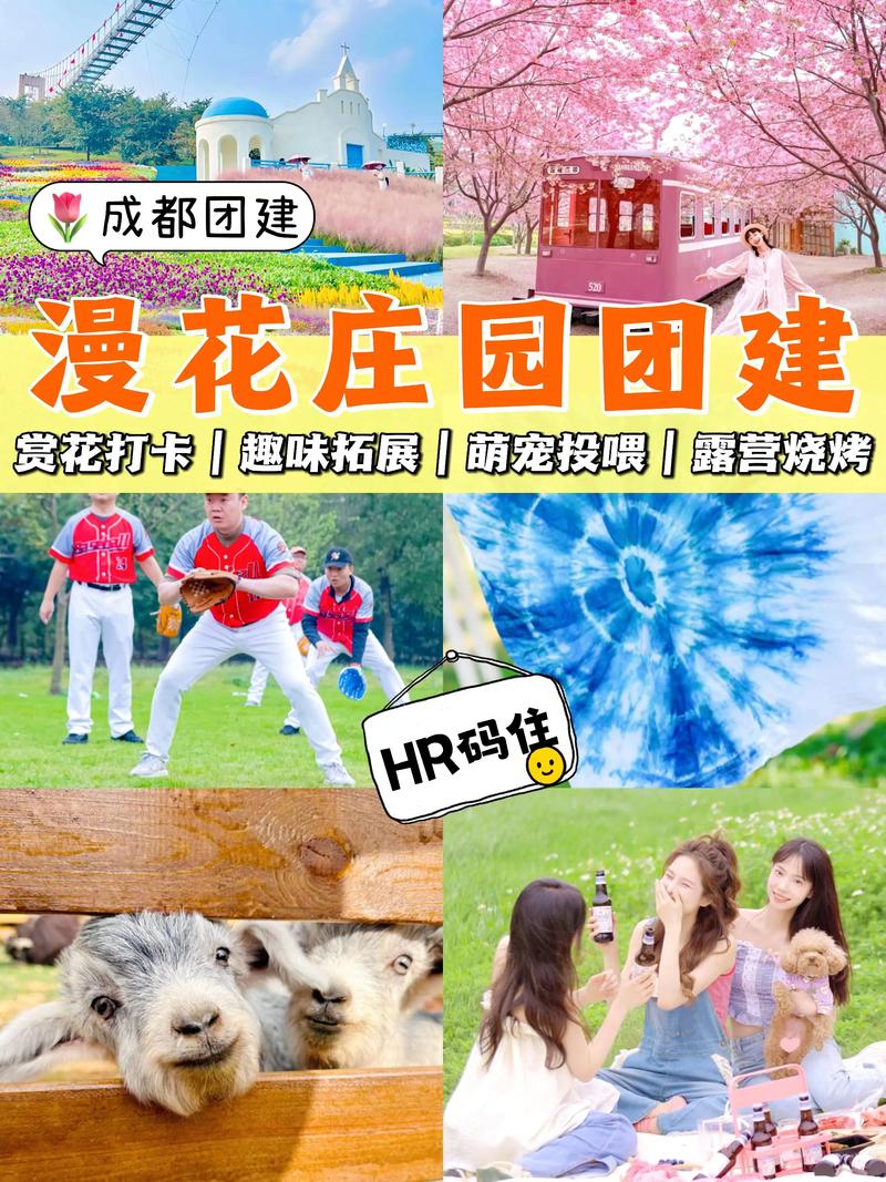成都户外拓展——激发潜能的团队建设新路径